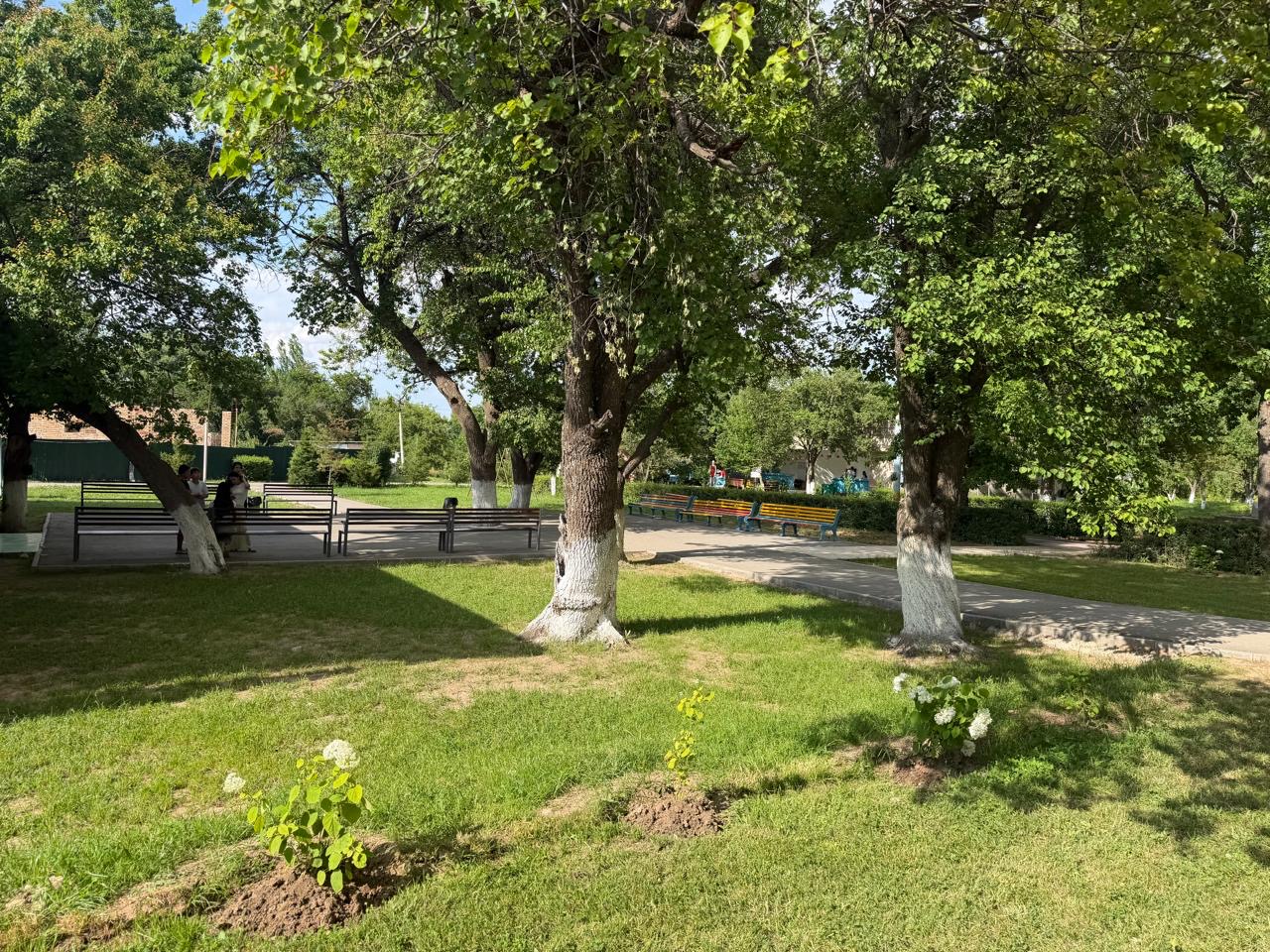 Лагерь ТАУ ГҮЛІ — фото 26